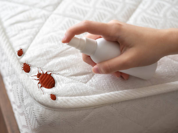 Best Real Estate Pest Inspections  in Richwood, NJ